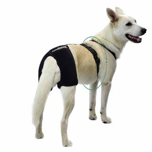 Hip Brace