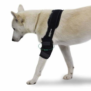 Single Elbow Guard