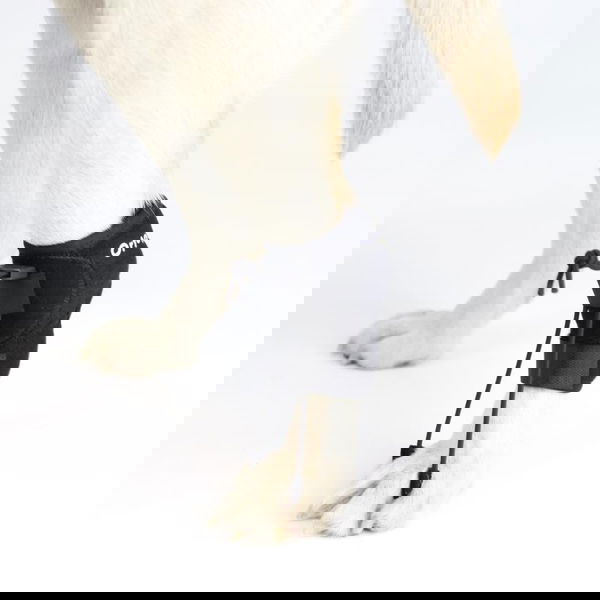 Ortocanis Toe Twist Stabilizer