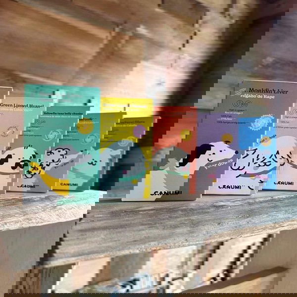 CANUMI Morski MIX paket rib in školjk - 7