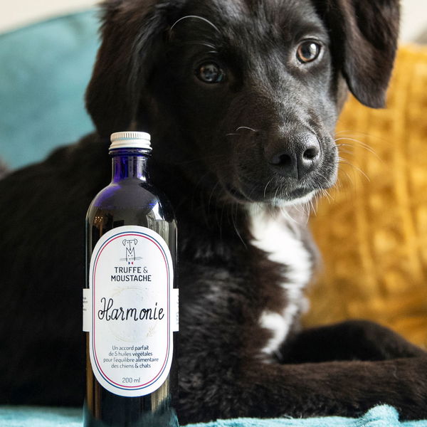 Truffe & Moustache Rastlinsko olje z omega 3 in 6 - Harmonie - 3