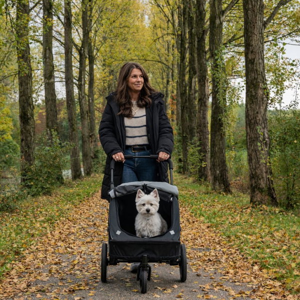 InnoPet 2v1 Voziček in kolesarska prikolica Noah za manjše pse - 23