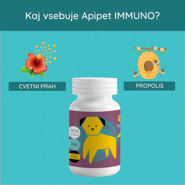 Apipet Dopolnilo s propolisom za odpornost IMMUNO - 1