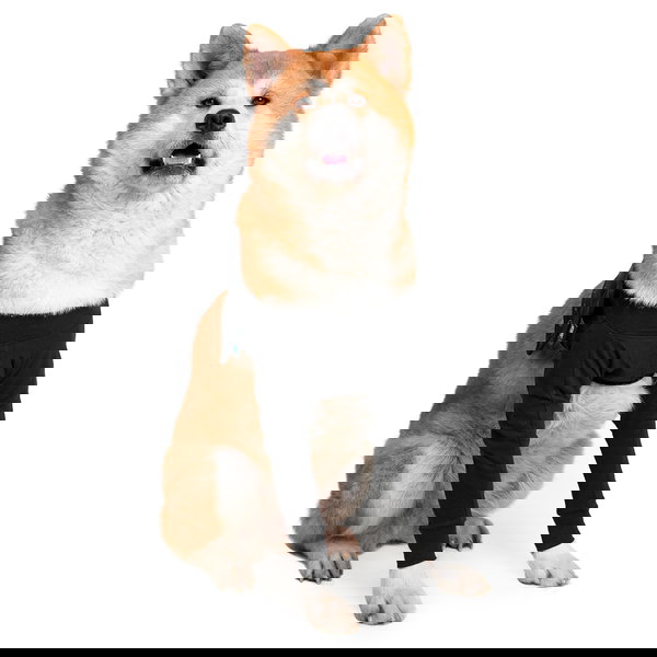 Suitical Postoperativni rukav za zaštitu prednjih šapa