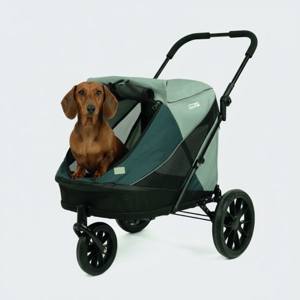 InnoPet 2v1 Voziček in kolesarska prikolica Noah za manjše pse - 10