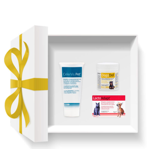 Dogoteka TRAVEL paket za počitnice s psom