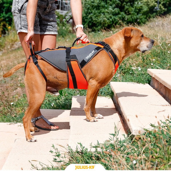 Julius-K9® 4in1 Multifunctional Harness for Walking Assistance