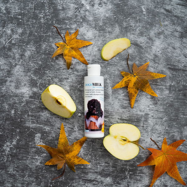 Dogoteka Šampon DOGOmilk - 5