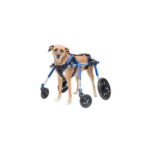 Front Wheels for the Wheelchair