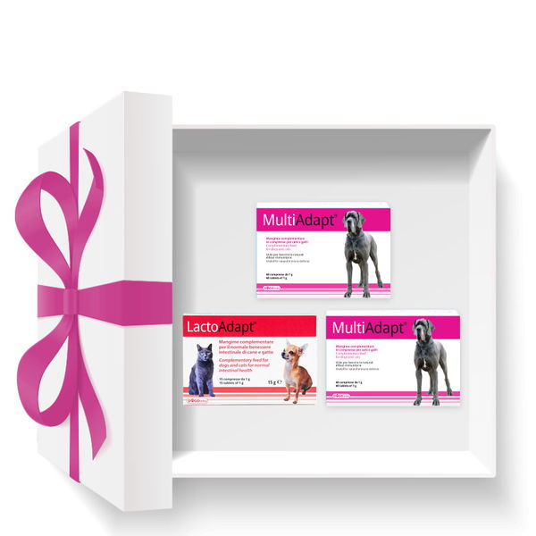 Dogoteka RECOVERY paket za brži oporavak