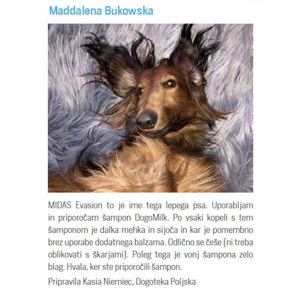 Dogoteka Šampon DOGOmilk - 4