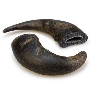 Bivolji rog