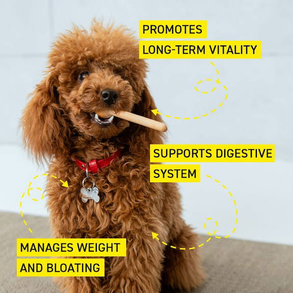 ROCKETO Pegasti badelj DETOX - 4